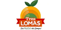 Logo de cliente de Piolet 10